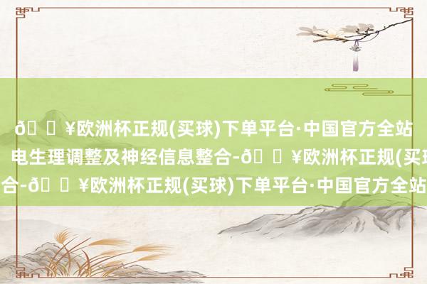 🔥欧洲杯正规(买球)下单平台·中国官方全站运作触及到机械传导、电生理调整及神经信息整合-🔥欧洲杯正规(买球)下单平台·中国官方全站