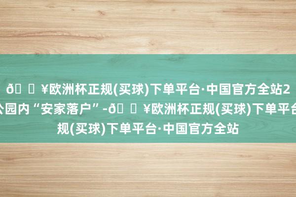 🔥欧洲杯正规(买球)下单平台·中国官方全站230余棵树木在公园内“安家落户”-🔥欧洲杯正规(买球)下单平台·中国官方全站