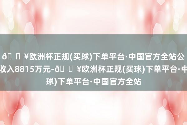🔥欧洲杯正规(买球)下单平台·中国官方全站公司终了营业收入8815万元-🔥欧洲杯正规(买球)下单平台·中国官方全站
