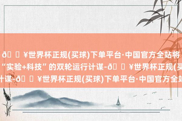 🔥世界杯正规(买球)下单平台·中国官方全站将来虎鲸文娱将络续坚捏“实验+科技”的双轮运行计谋-🔥世界杯正规(买球)下单平台·中国官方全站