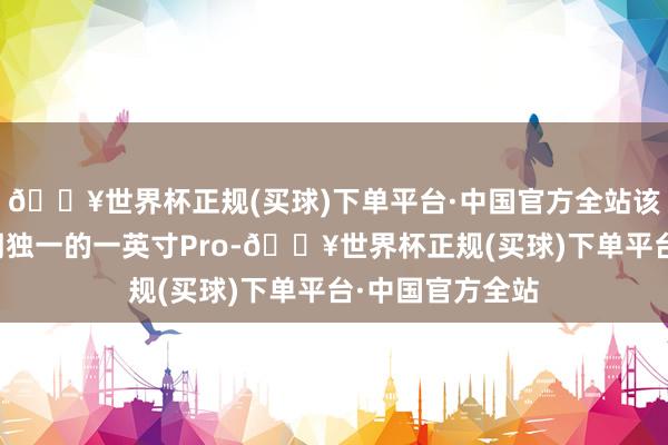 🔥世界杯正规(买球)下单平台·中国官方全站该机还将会是同期独一的一英寸Pro-🔥世界杯正规(买球)下单平台·中国官方全站