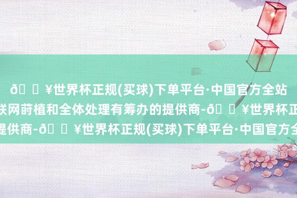 🔥世界杯正规(买球)下单平台·中国官方全站公司是力图于无线物联网莳植和全体处理有筹办的提供商-🔥世界杯正规(买球)下单平台·中国官方全站