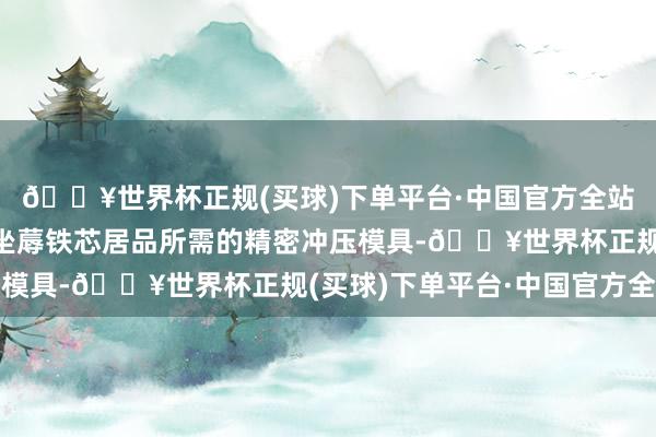 🔥世界杯正规(买球)下单平台·中国官方全站公司还会向客户提供坐蓐铁芯居品所需的精密冲压模具-🔥世界杯正规(买球)下单平台·中国官方全站