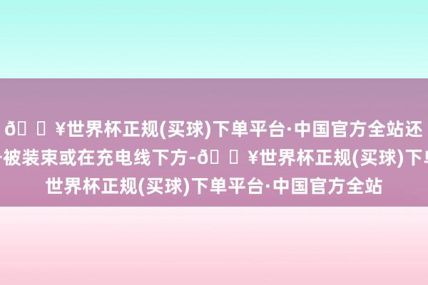 🔥世界杯正规(买球)下单平台·中国官方全站还有两家品牌的3C符号被装束或在充电线下方-🔥世界杯正规(买球)下单平台·中国官方全站